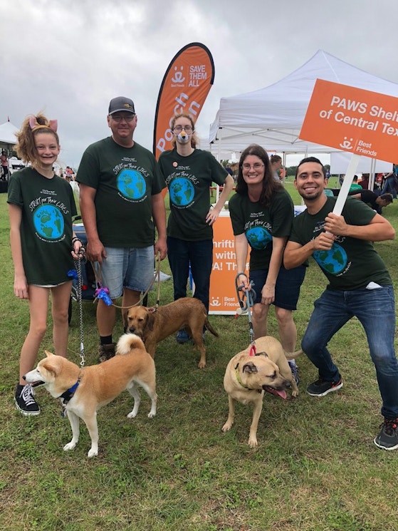 Paws Shelter Of Central Texas At Strut Your Mutt 2018! T-Shirt Photo