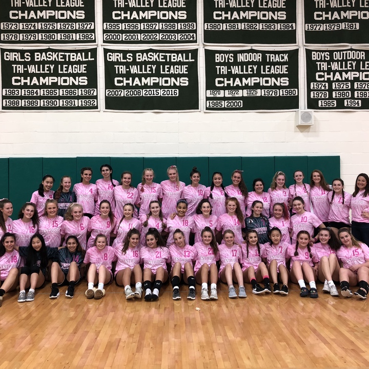 Westwood Volleyball Dig Pink For A Cure! T-Shirt Photo
