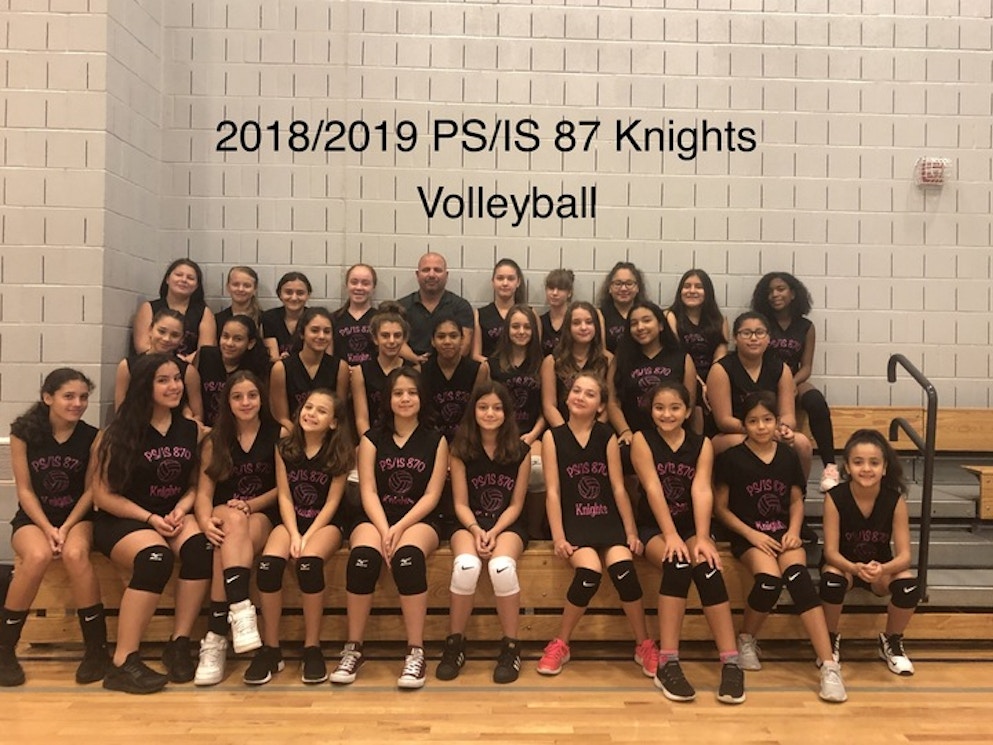 Ps/Is 87 Knights Volleyball  T-Shirt Photo