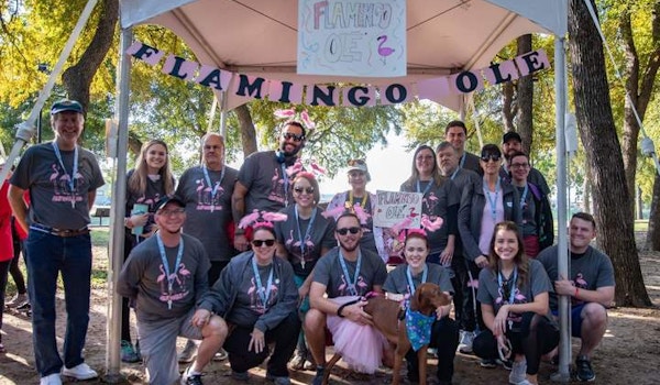 Team Flamingo Ole’ Walk To Defeat Als T-Shirt Photo