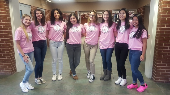 Mmi Lady Preppers Volleyball Supports Cancer Research! T-Shirt Photo