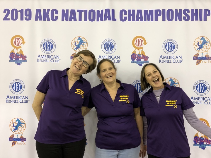 The Bucket B*Tch Brigade T-Shirt Photo