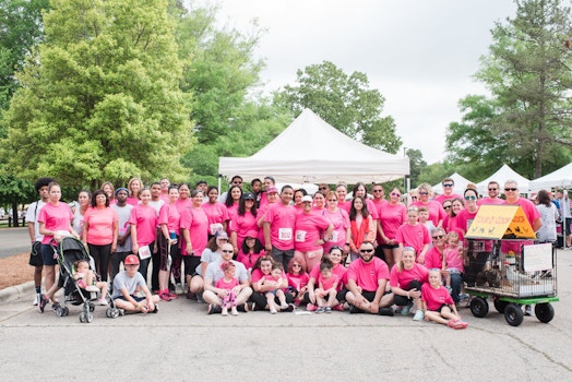Team Zelina, Komen Race For The Cure 2019, Raleigh, Nc T-Shirt Photo