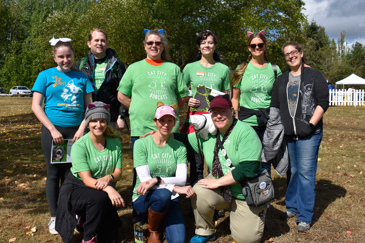Cat City Bobcats T-Shirt Photo