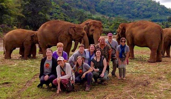 Big Elephant Magic Sanctuary Volunteer Group, Thailand! T-Shirt Photo