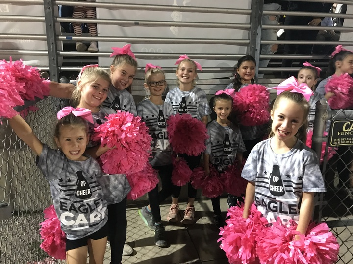 Opc Eagles Care T-Shirt Photo