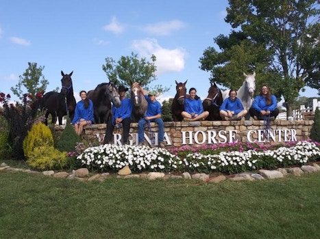 2019 State Horse Show T-Shirt Photo