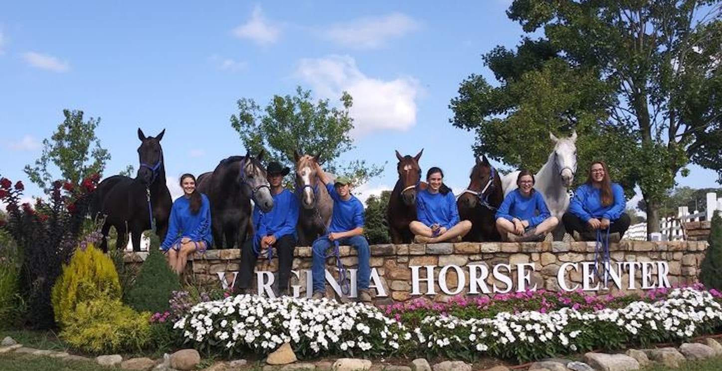 Picture of 2019 State Horse Show Custom T-Shirt Design 2019 State Horse Show T-Shirt Photo