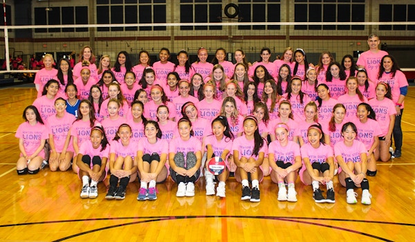 Picture of Dig Pink 2019 Custom T-Shirt Design Dig Pink 2019 T-Shirt Photo
