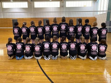 2019 Dig Pink Volleyball Game T-Shirt Photo