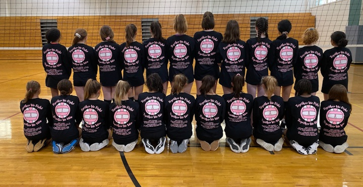 2019 Dig Pink Volleyball Game T-Shirt Photo
