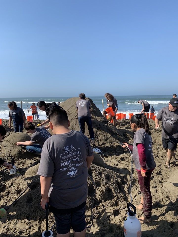 Fun In The Sun T-Shirt Photo
