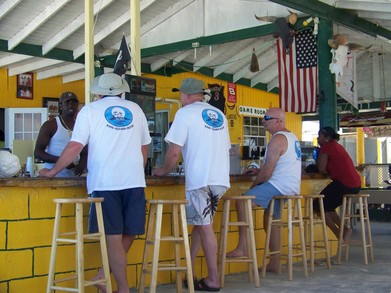 Honey Cat Crew T-Shirt Photo