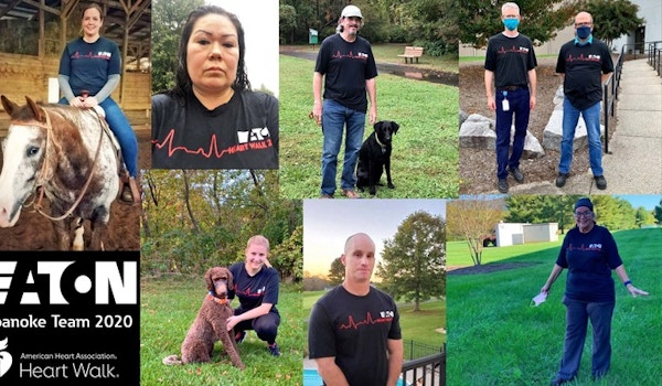 Picture of Eaton Roanoke Heart Walk Team 2020 Custom T-Shirt Design Eaton Roanoke Heart Walk Team 2020 T-Shirt Photo