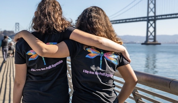 Picture of Dragonfly Den, Inc. Custom T-Shirt Design Dragonfly Den, Inc. T-Shirt Photo