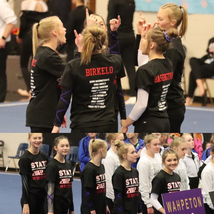State Gymnastics Tournament  T-Shirt Photo