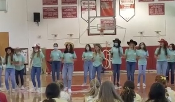 Picture of School Showcase Custom T-Shirt Design School Showcase T-Shirt Photo